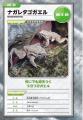 【こんな生き物、見たことない!?】「どうしてこんな姿