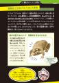 【こんな生き物、見たことない!?】「どうしてこんな姿