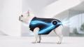 愛犬との時間を守るブランド「EQUO」始動。第一弾「EQ
