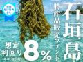 【運用期間 約1か月・想定利回り8.0％（年率・税引前