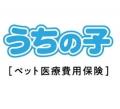 【ペット保険 人気ランキング】2026年8月TOP5を発表！