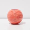 ORIGINAL ROSE × SPALDING COLLABORATION by B's Int