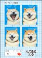 【国宝級のかわいさ】柴犬らんまるのポスター・ブロマ