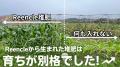 家庭用ハイブリッド式生ごみ処理機「Reencle(リンク 家庭用ハイブリッド式生ごみ処理機「Reencle(リンク
