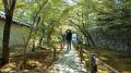 【数社限定】「Japanese Garden TV(登録者19万人)」と 【数社限定】「Japanese Garden TV(登録者19万人)」と