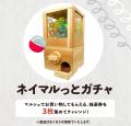 幕張ベイパークで“夏のナイトマルシェ”開催!「NEIGHB 幕張ベイパークで“夏のナイトマルシェ”開催!「NEIGHB