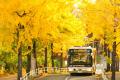 「京王線・井の頭線沿線風景2025-2026フutf-8 「京王線・井の頭線沿線風景2025-2026フutf-8