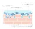 【新商品】顔の“エリア別” 化粧下地が誕生！悩み*1と