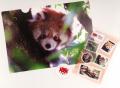 RED PANDA NETWORK JAPAN監修オリジナルグッズ発売！