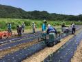 【希少な国産ごま100％使用】三重県の地で育まれた金