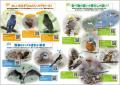 日本野鳥の会 新パンフレット『動画で分かる野鳥のし