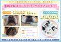 フレンチブルドッグやパグなどの愛らしい“鼻ぺちゃ犬” フレンチブルドッグやパグなどの愛らしい“鼻ぺちゃ犬”