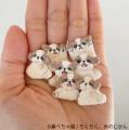 フレンチブルドッグやパグなどの愛らしい“鼻ぺちゃ犬” フレンチブルドッグやパグなどの愛らしい“鼻ぺちゃ犬”