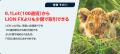 ヒロセ通商：ヒロセ通商のLION FXがもっと少額で取引