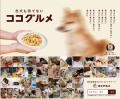 【50万頭、ありがとう。】手づくりごはん「ココグルメ