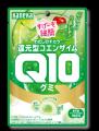 『わたしのチカラ(R) 還元型コエンザイムQ10グミ』メ