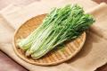 【しゃぶしゃぶ温野菜】8月31日の「野菜の日」にutf-8 【しゃぶしゃぶ温野菜】8月31日の「野菜の日」にutf-8