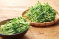 【しゃぶしゃぶ温野菜】8月31日の「野菜の日」にutf-8 【しゃぶしゃぶ温野菜】8月31日の「野菜の日」にutf-8