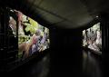 「あたらしい目―モネと21世紀のアート」展　開催中