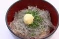 家族で紡ぐ夏の思い出。海・食・癒やしが交差する港町 家族で紡ぐ夏の思い出。海・食・癒やしが交差する港町