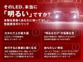 【NEW】レジャー、防災用品を整理する折りたたみトラ