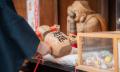 「旅先で、何を願う?」湯元啄木亭、湯倉神社「白うさ 「旅先で、何を願う?」湯元啄木亭、湯倉神社「白うさ