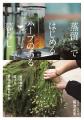 【庭のハーブを、自宅で蒸留】植物蒸留を身近にする家 【庭のハーブを、自宅で蒸留】植物蒸留を身近にする家