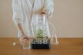 【庭のハーブを、自宅で蒸留】植物蒸留を身近にする家 【庭のハーブを、自宅で蒸留】植物蒸留を身近にする家