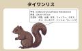 【独自調査】全体の約2割が野生のリスを目撃!外来種 【独自調査】全体の約2割が野生のリスを目撃!外来種