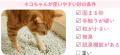 猫砂のお悩みをまるっと解決!ネコちゃんとオーナーさ 猫砂のお悩みをまるっと解決!ネコちゃんとオーナーさ