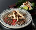 秋の味覚先取り!木曽路の「松茸」を味わう木曽路の「