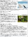 3年ぶりに待望のオールナイトが復活！「六本木アート