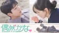 チェ・ジョンヒョプ主演『偶然かな。』、少女時代・ス