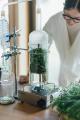 【季節の不調を香りで整える】植物蒸留の入門書『蒸留 【季節の不調を香りで整える】植物蒸留の入門書『蒸留
