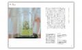 【季節の不調を香りで整える】植物蒸留の入門書『蒸留 【季節の不調を香りで整える】植物蒸留の入門書『蒸留