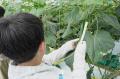 【welzo研究農場 × 児童発達支援センター野の花】地域