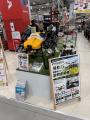 マゼックス、アークランズ株式会社が展開するホームセ