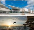 【四国水族館×JRホテルクレメント徳島】初コラボレー 【四国水族館×JRホテルクレメント徳島】初コラボレー
