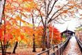 残暑厳しい９月　東京の日平均気温は26．5℃でも嬬恋村