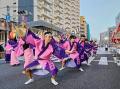 大塚の夏の風物詩「第52回東京大塚阿波おどり」を開催