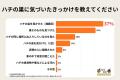 【独自調査】晩夏から秋はハチ被害に要注意!生態の変 【独自調査】晩夏から秋はハチ被害に要注意!生態の変