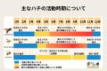 【独自調査】晩夏から秋はハチ被害に要注意!生態の変 【独自調査】晩夏から秋はハチ被害に要注意!生態の変