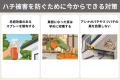 【独自調査】晩夏から秋はハチ被害に要注意!生態の変 【独自調査】晩夏から秋はハチ被害に要注意!生態の変