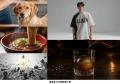 全国で1,000名以上のAI学習を支援してきたA.I.KEN（ア