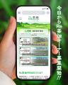 茶畑を手にする、という新しいステータス。 静岡県 牧