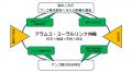 海の自然史研究所、「アラムコ・コーラルリンク沖縄」