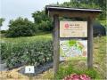 「飛鳥・藤原の宮都」世界文化遺産登録　当社取締役会
