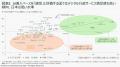 デジタル行政サービスの満足度は世界平均66％と10年前