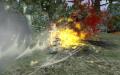 和風MMORPG『鬼斬』に新キャラクター「白虎」登場！限