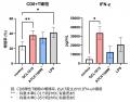 Glico独自の乳酸菌GCL1815株が免疫細胞同士の連携を高